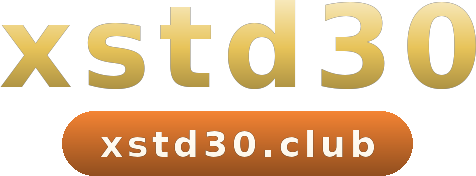 xstd30 logo